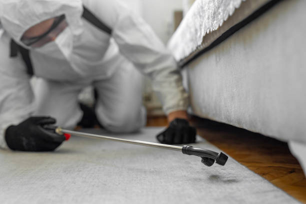 Professional Pest Control technician working in Wise County County, VA
